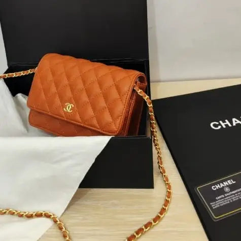 Chanel Wallet on Chain (WOC) Bag – Iconic Quilted Mini Flap