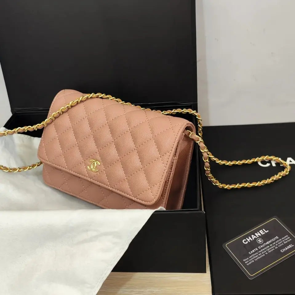 Chanel Wallet on Chain (WOC) Bag – Iconic Quilted Mini Flap