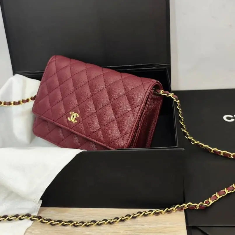 Chanel Wallet on Chain (WOC) Bag – Iconic Quilted Mini Flap