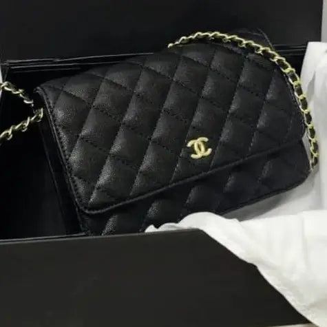 Chanel Wallet on Chain (WOC) Bag – Iconic Quilted Mini Flap
