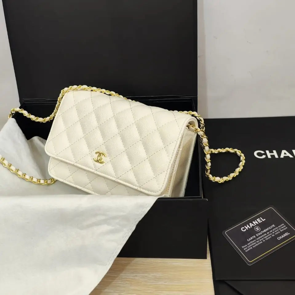 Chanel Wallet on Chain (WOC) Bag – Iconic Quilted Mini Flap