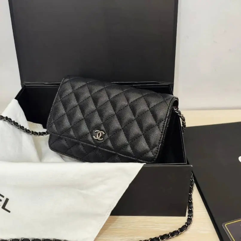 Chanel Wallet on Chain (WOC) Bag – Iconic Quilted Mini Flap